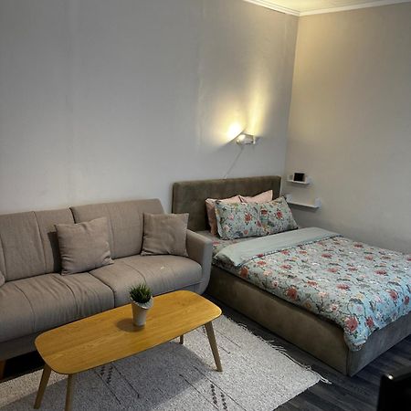 1 Bedroom Apartment Near Kadriorg Swan Pond Ταλίν Εξωτερικό φωτογραφία