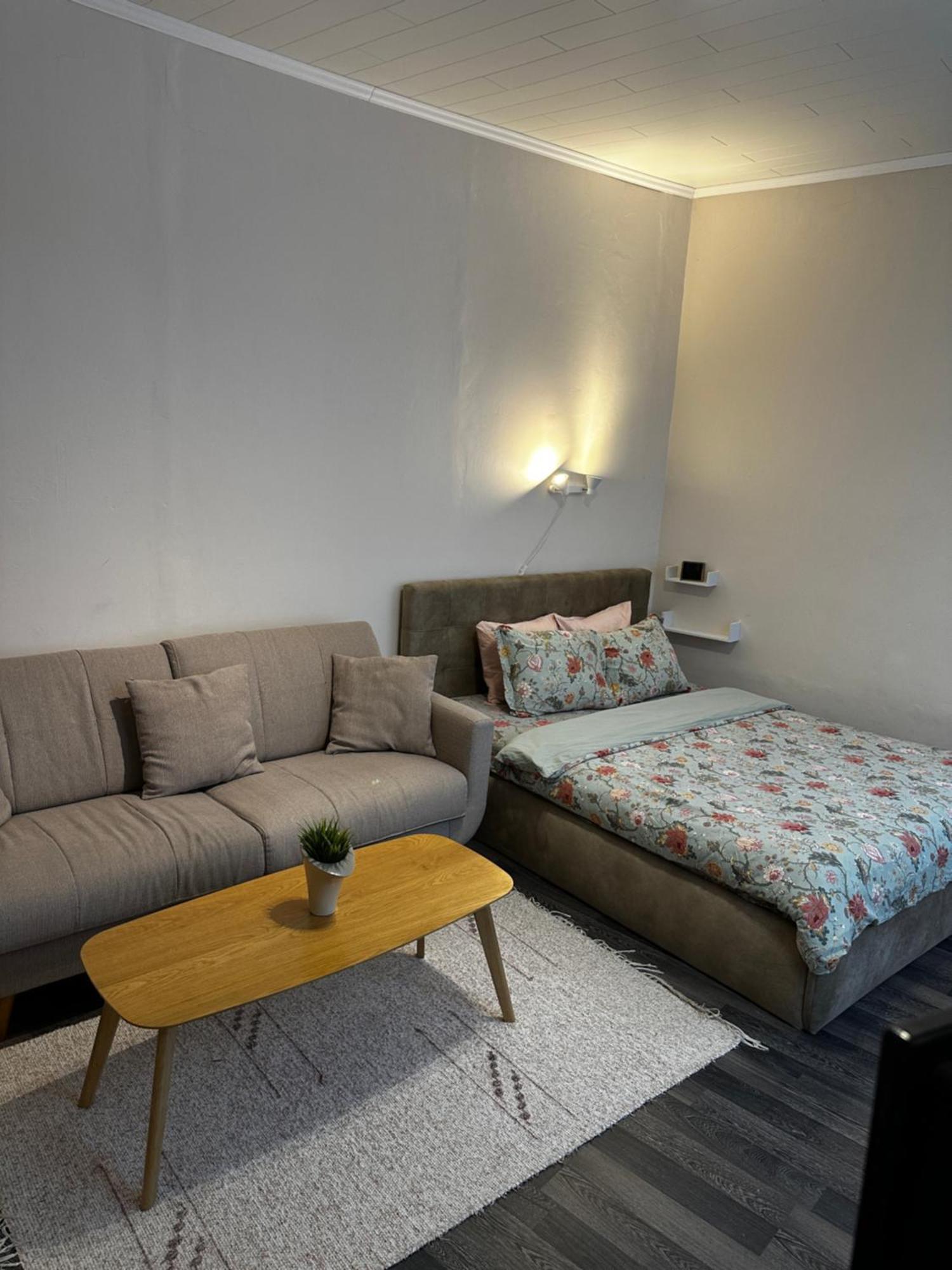 1 Bedroom Apartment Near Kadriorg Swan Pond Ταλίν Εξωτερικό φωτογραφία